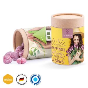 Papierdose Eco Maxi